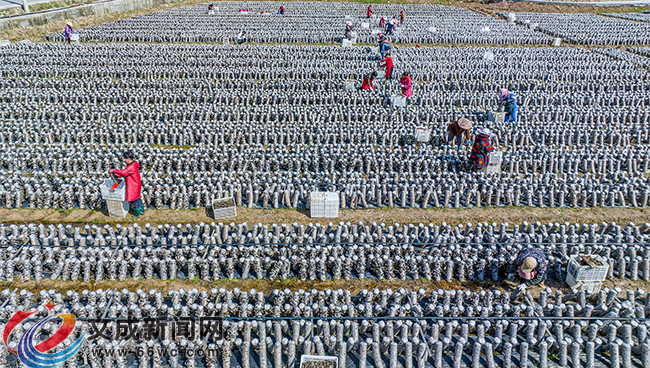 �D�f(shu��)�������r(sh��)��(ji��)�����ա�æ