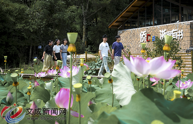 �D�f(shu��)���ĳ����պɻ�ʢ��