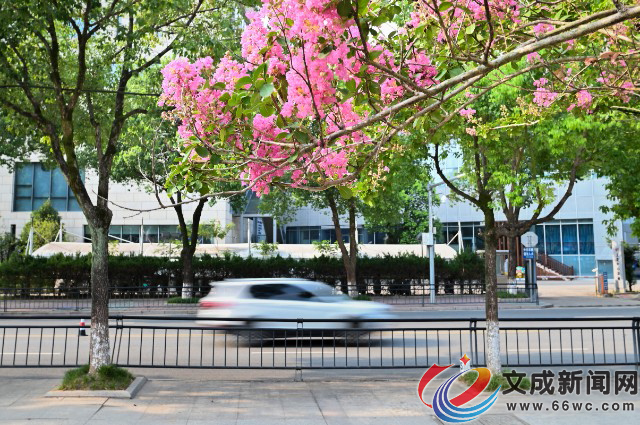 �D�f(shu��)|��߅���_��ʢ