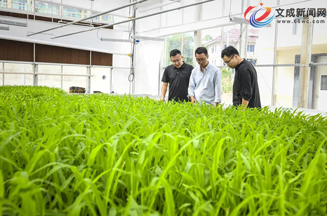 ��ɽ(li��n)��(d��ng)���cɽ���d | ���׵���N�����������