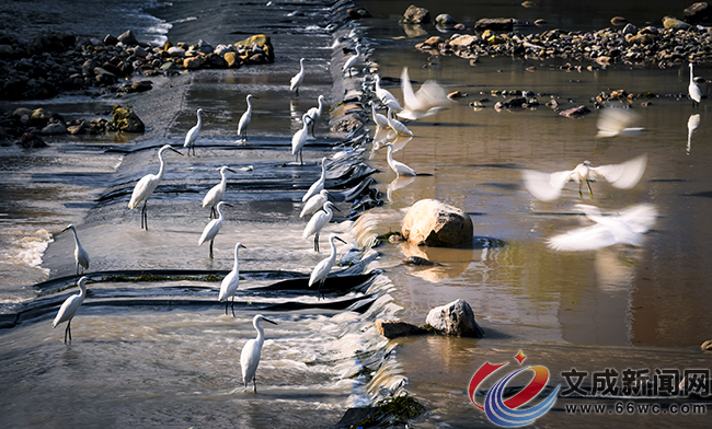 �D�f(shu��)|���������] �M�@���B(t��i)��