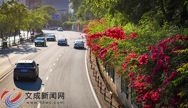 �D�f(shu��) | ��ǻ��_ �MĿ���A