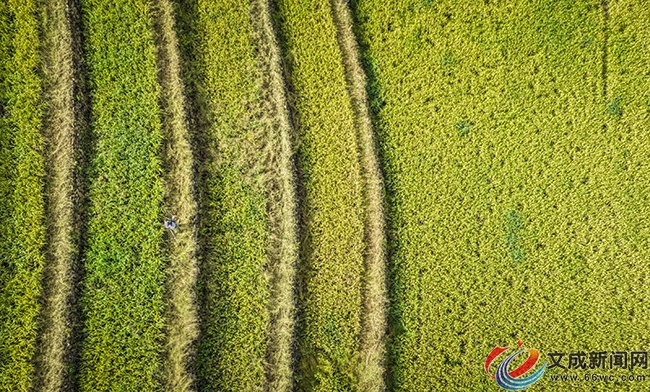 ʮһ����in�ĳɣ��L�����ˣ���ɫ����ӭ������^�p��