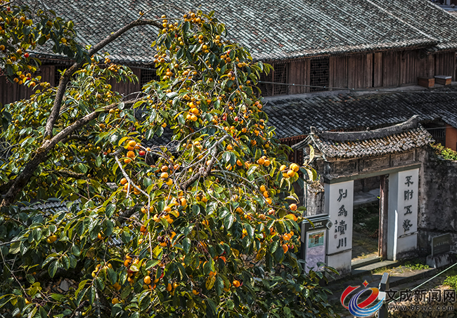 ��������ʢ��֮�s �����������������