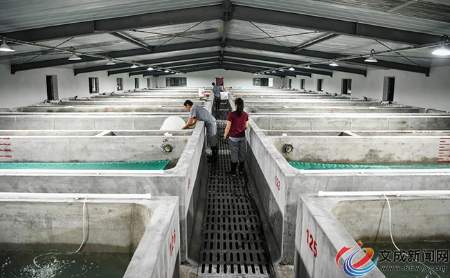 ���fβ�N�r����Ư�� ��� �ĳɿh�O�I�N�緱������ӭ����һ����ס����