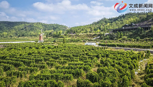 �ĳ�Ŵ��ɽˎ�������� ���g���^�L���S�ՈD��