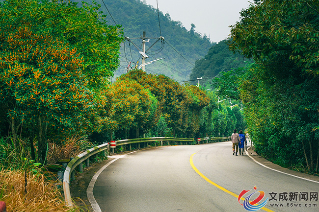 �ĳɣ��������� ���˕r��