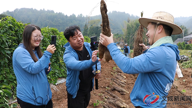 Ŵ��ɽˎ�S�ռ� �������gֱ��æ