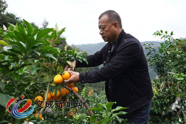 ��ɽ���t����ϲӭ�S�� ���r��ժ�����r