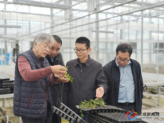 ���n�����Ϸ��� �x���ĳ��r�I���|���lչ